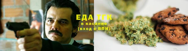 дмт Алексин